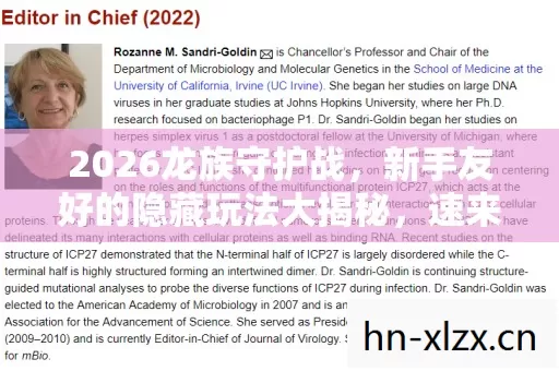 2026龙族守护战,新手友好的隐藏玩法大揭秘,速来! 2026龙族守护战,新手友好的隐藏玩法大揭秘,速来!