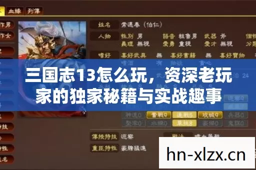 三国志13怎么玩,资深老玩家的独家秘籍与实战趣事 三国志13怎么玩,资深老玩家的独家秘籍与实战趣事