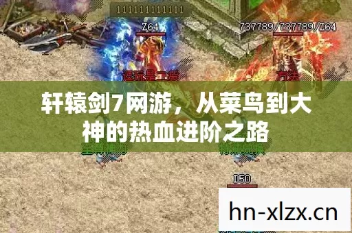 从菜鸟到大神的热血进阶之路图片