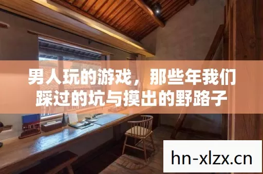 那些年我们踩过的坑与摸出的野路子图片