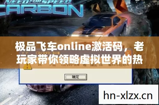 老玩家带你领略虚拟世界的热血与激情图片