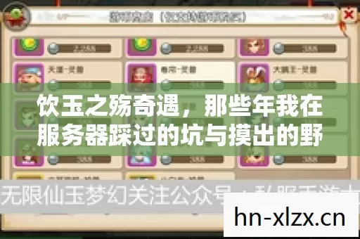 那些年我在服务器踩过的坑与摸出的野路子图片