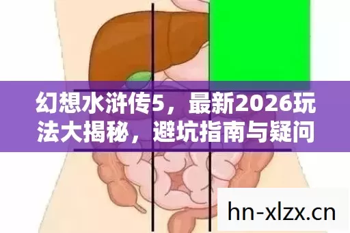 避坑指南与疑问解答全知道图片