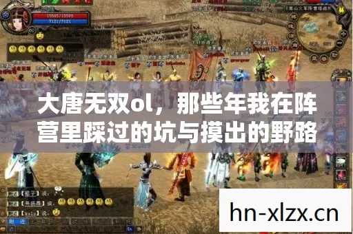 那些年我在阵营里踩过的坑与摸出的野路子图片