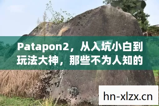 Patapon2,从入坑小白到玩法大神,那些不为人知的超炫蜕变! Patapon2,从入坑小白到玩法大神,那些不为人知的超炫蜕变!