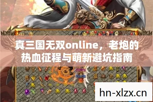 真三国无双online,老炮的热血征程与萌新避坑指南 真三国无双online,老炮的热血征程与萌新避坑指南