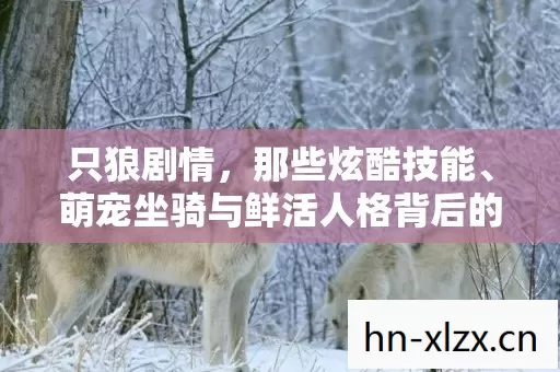 只狼剧情，那些炫酷技能、萌宠坐骑与鲜活人格背后的精彩故事