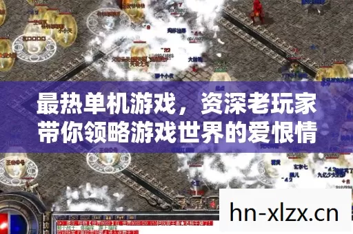 资深老玩家带你领略游戏世界的爱恨情仇图片