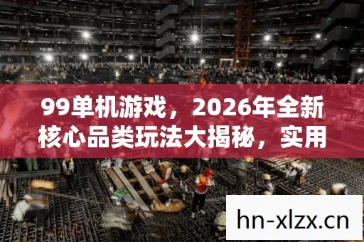 99单机游戏,2026年全新核心品类玩法大揭秘,实用指南与痛点全解! 99单机游戏,2026年全新核心品类玩法大揭秘,实用指南与痛点全解!