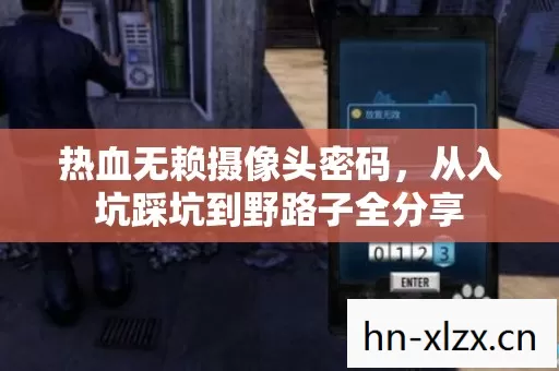 从入坑踩坑到野路子全分享图片