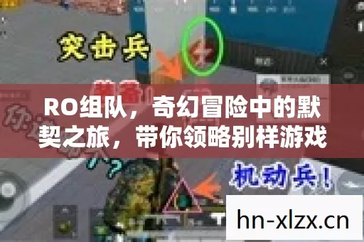 RO组队,奇幻冒险中的默契之旅,带你领略别样游戏风情 RO组队,奇幻冒险中的默契之旅,带你领略别样游戏风情