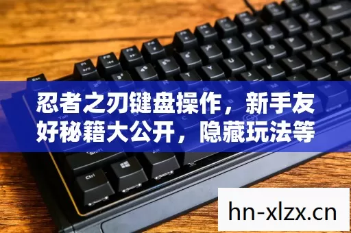 忍者之刃键盘操作,新手友好秘籍大公开,隐藏玩法等你挖掘! 忍者之刃键盘操作,新手友好秘籍大公开,隐藏玩法等你挖掘!