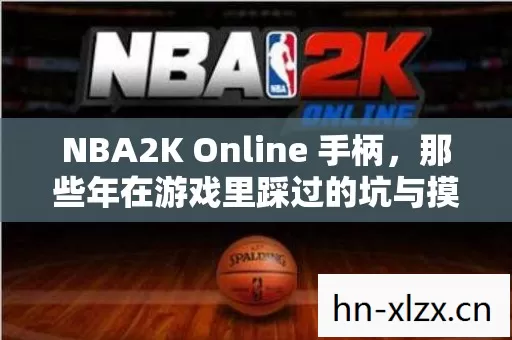NBA2K Online 手柄,那些年在游戏里踩过的坑与摸出的野路子 NBA2K Online 手柄,那些年在游戏里踩过的坑与摸出的野路子