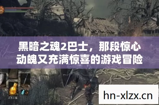 黑暗之魂2巴士,那段惊心动魄又充满惊喜的游戏冒险之旅 黑暗之魂2巴士,那段惊心动魄又充满惊喜的游戏冒险之旅