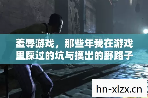 羞辱游戏,那些年我在游戏里踩过的坑与摸出的野路子 羞辱游戏,那些年我在游戏里踩过的坑与摸出的野路子