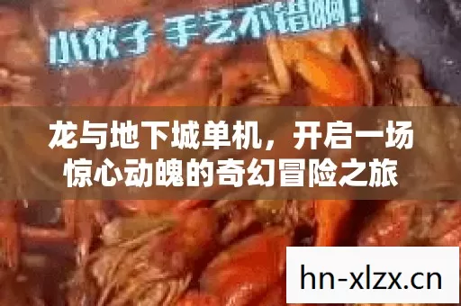龙与地下城单机,开启一场惊心动魄的奇幻冒险之旅 龙与地下城单机,开启一场惊心动魄的奇幻冒险之旅