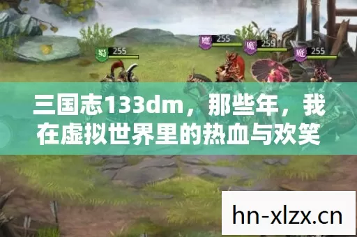 三国志133dm,那些年,我在虚拟世界里的热血与欢笑 三国志133dm,那些年,我在虚拟世界里的热血与欢笑