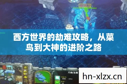 从菜鸟到大神的进阶之路图片