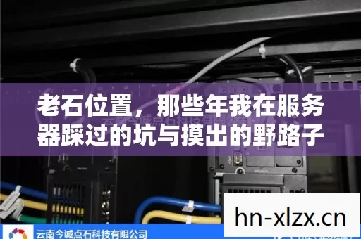 那些年我在服务器踩过的坑与摸出的野路子图片