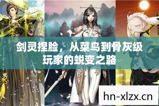 从菜鸟到骨灰级玩家的蜕变之路图片