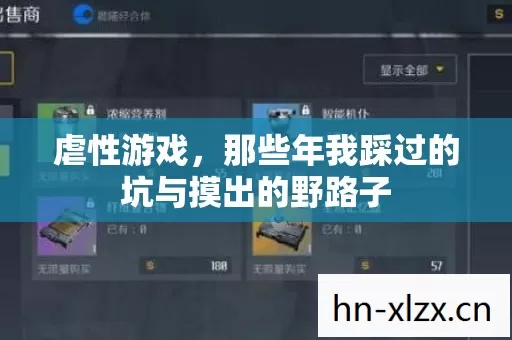 虐性游戏,那些年我踩过的坑与摸出的野路子 虐性游戏,那些年我踩过的坑与摸出的野路子