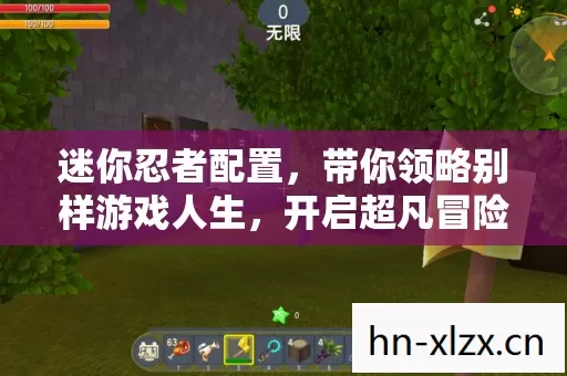 迷你忍者配置,带你领略别样游戏人生,开启超凡冒险之旅 迷你忍者配置,带你领略别样游戏人生,开启超凡冒险之旅