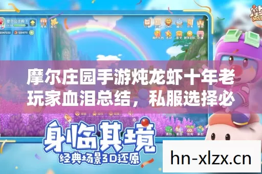 摩尔庄园手游炖龙虾十年老玩家血泪总结,私服选择必看要点 摩尔庄园手游炖龙虾十年老玩家血泪总结,私服选择必看要点