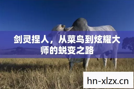 从菜鸟到炫耀大师的蜕变之路图片