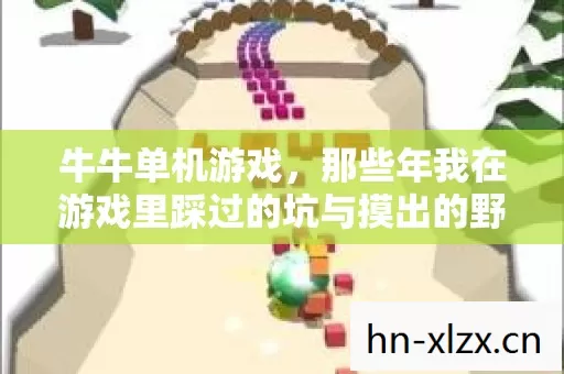 那些年我在游戏里踩过的坑与摸出的野路子图片