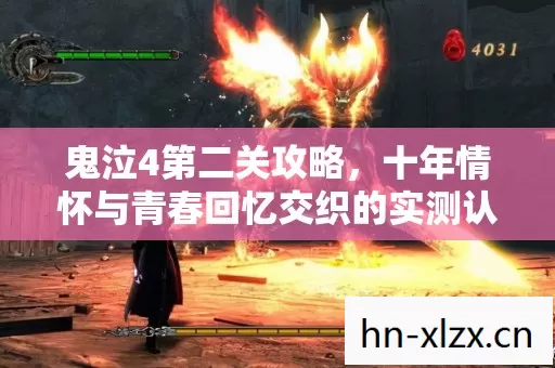 十年情怀与青春回忆交织的实测认证指南图片