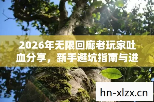 2026年无限回廊老玩家吐血分享图片