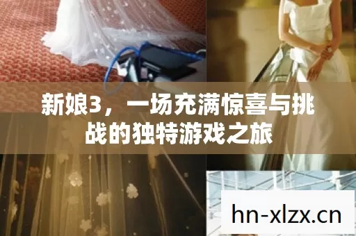一场充满惊喜与挑战的独特游戏之旅图片