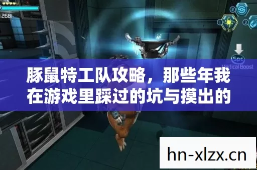 那些年我在游戏里踩过的坑与摸出的野路子图片