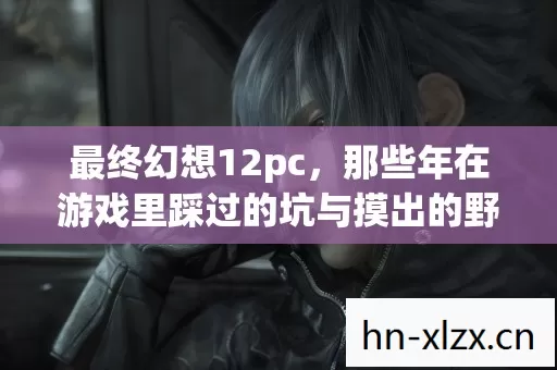 最终幻想12pc,那些年在游戏里踩过的坑与摸出的野路子 最终幻想12pc,那些年在游戏里踩过的坑与摸出的野路子
