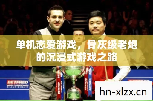 骨灰级老炮的沉浸式游戏之路图片