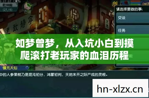 从入坑小白到摸爬滚打老玩家的血泪历程图片