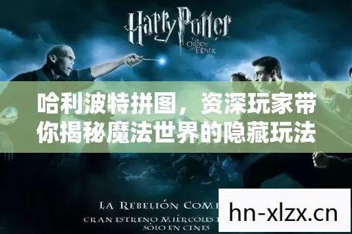 资深玩家带你揭秘魔法世界的隐藏玩法图片