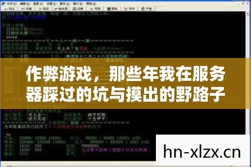 作弊游戏,那些年我在服务器踩过的坑与摸出的野路子 作弊游戏,那些年我在服务器踩过的坑与摸出的野路子