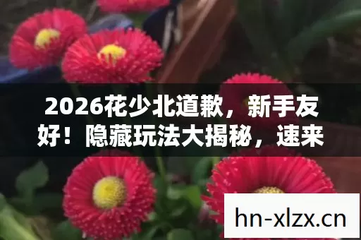 2026花少北道歉,新手友好!隐藏玩法大揭秘,速来种草! 2026花少北道歉,新手友好!隐藏玩法大揭秘,速来种草!