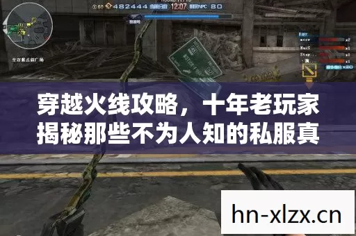 十年老玩家揭秘那些不为人知的私服真相与实战技巧图片