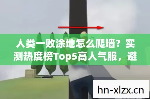 实测热度榜Top5高人气服图片