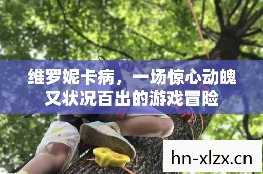 维罗妮卡病,一场惊心动魄又状况百出的游戏冒险 维罗妮卡病,一场惊心动魄又状况百出的游戏冒险