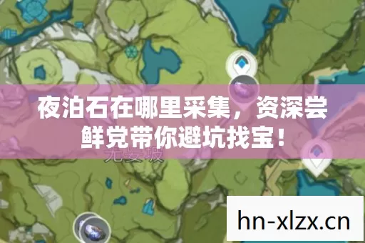 资深尝鲜党带你避坑找宝图片