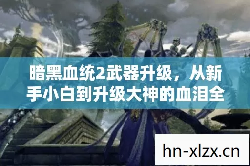 从新手小白到升级大神的血泪全记录图片