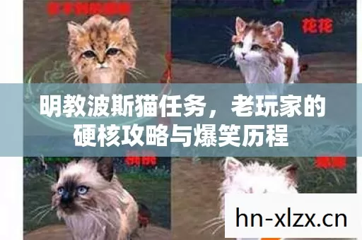 老玩家的硬核攻略与爆笑历程图片