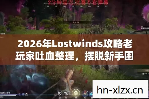 2026年Lostwinds攻略老玩家吐血整理图片