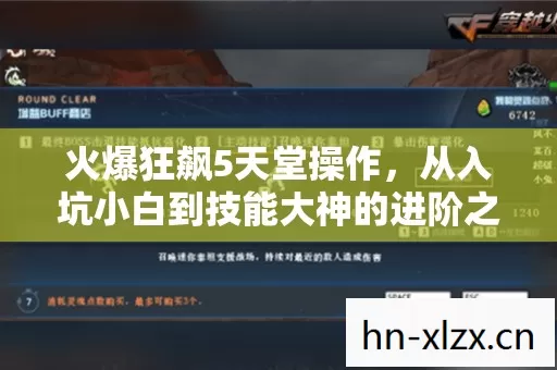 从入坑小白到技能大神的进阶之路图片