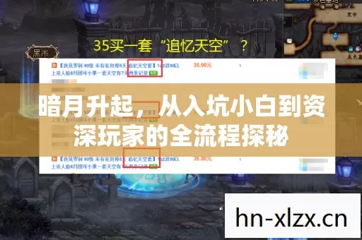 从入坑小白到资深玩家的全流程探秘图片