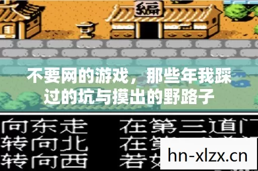 那些年我踩过的坑与摸出的野路子图片