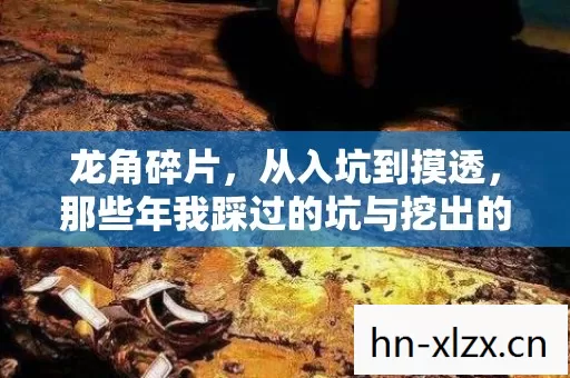 那些年我踩过的坑与挖出的宝图片